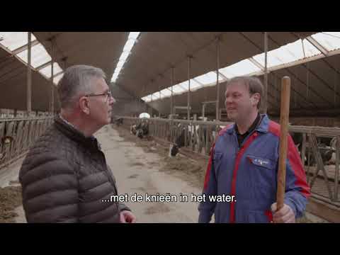 Verhoogde dijken in Roosteren beschermen tegen hoogwater