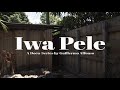 Iwa Pele pt 1. A documentary about IFA and Santeria from the Diaspora. From Miami to Africa. Ase O!