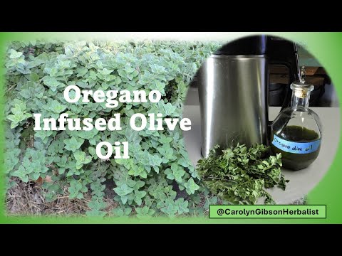 Oregano Infused Olive Oil Made with the Magical Butter Machine