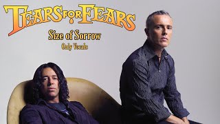 Tears for Fears - Size of Sorrow (Only Vocals)