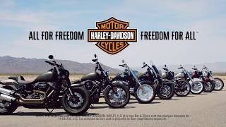 SOFTAIL 2018