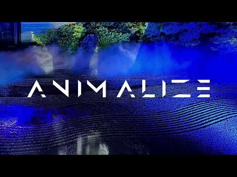 Animalize (UK) ▪️ Melotech Anjuna House Party DJ Set (29.11.24)