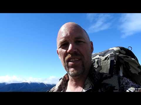 Backblocks Hunting - September Red Deer Hunt