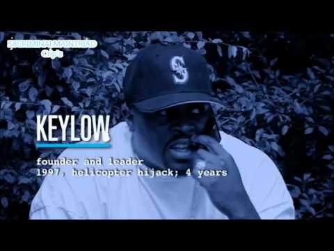 Main Triad Crip Gang ( Rollin 200'NHOOD CRIPS )