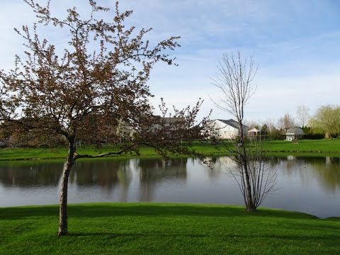 Maresha - Von Schuldgefühlen befreit