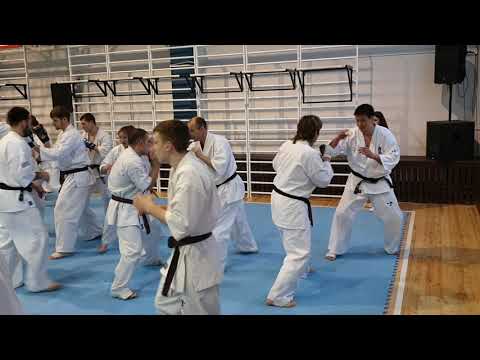 Mikio Ueda vs Anna Kopyrina (January 11, 2020)