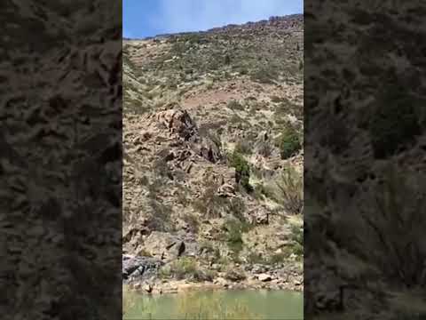 La cordillera de Los Andes Neuquén RP23. Rio Aluminé.