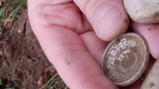 preview picture of video 'Romanian silver coin Carol II 1923 found  with metal detector near Bistritz, Nösen'