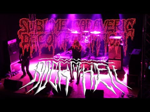 Sublime Cadaveric Decomposition LIVE @ Rock The Hell 2017 FULL SHOW - Switzerland - Dani Zed