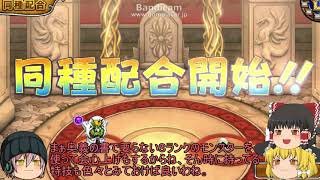 「DQモンパレ実況」ゆっくり達の最強パレード育成日記　502ページ目　魔オルゴ・ドレアム・ミルドラのタマゴ福引での配合強化！！