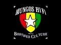 Mungo's Hi Fi - ING ft. Brother Culture 