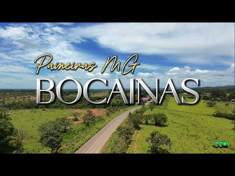 Assista ao vídeo