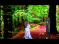 Princess The Wizard Written Directed By An 8 5 Year Old