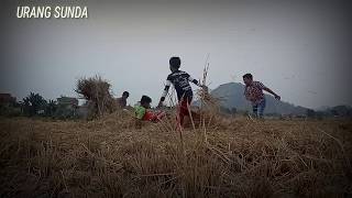 Download lagu Puisi sunda ngacapruk (curhatan hati mamang) - URANG SUNDA.creative studio mp3 Download lagu Puisi sunda ngacapruk (curhatan hati mamang) - URANG SUNDA.creative studio mp3