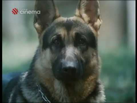 Smrt-Krasnych-Srncu-(1986)-ukazka