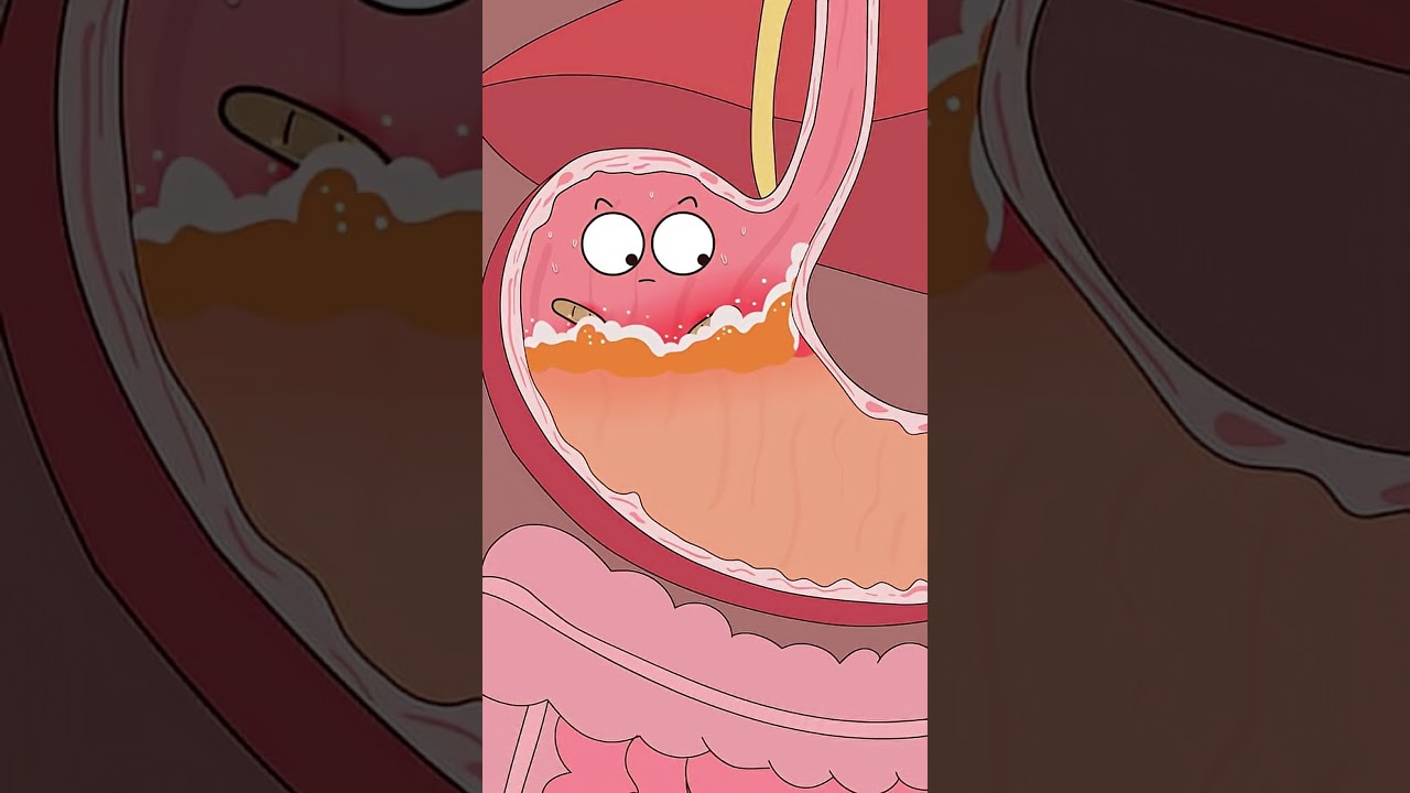 Why does drinking too much alcohol give you a stomachache?#animation #funny #shorts #health