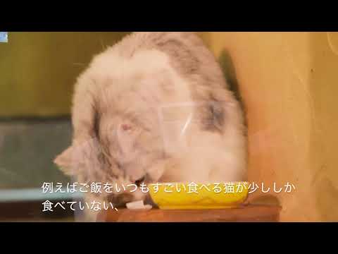 日本画学科 temarinoouchi