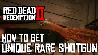 Red Dead Redemption 2 HOW TO GET RARE SHOTGUN (UNIQUE WEAPON)