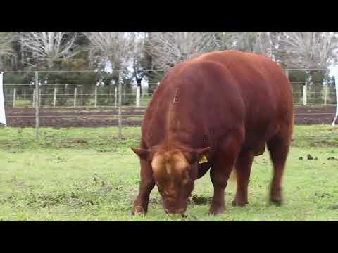 RP 4099   Cabaña Las Blancas