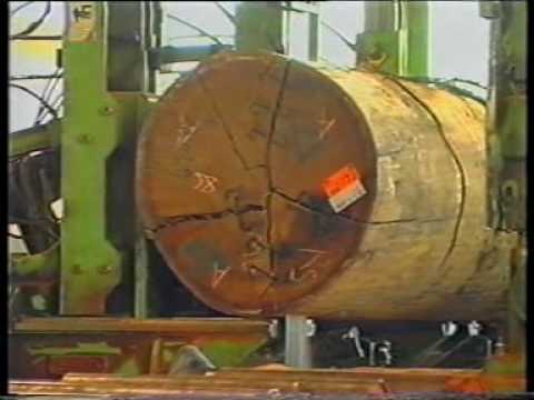 SFI's Corporate Video.mpg