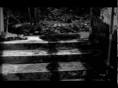 Evil Day 2: the abandoned house of horror Video