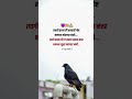 पाहणार नाही Marathi WhatsApp Status Life Quotes Marathi Marathistatus