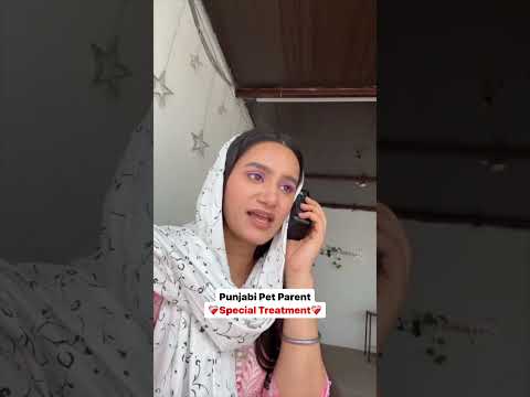 Punjabi pet parent Special treatment | Funny Punjabi Video | Dog lover