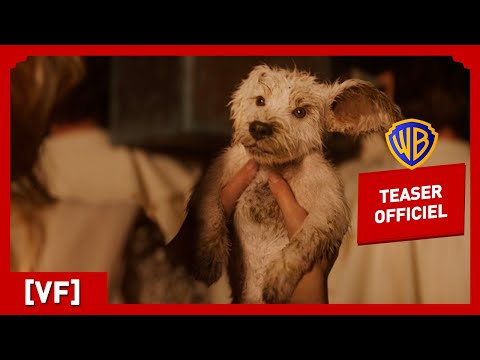 Supergirl | Teaser Krypto (VF) | Milly Alcock, Jason Momoa