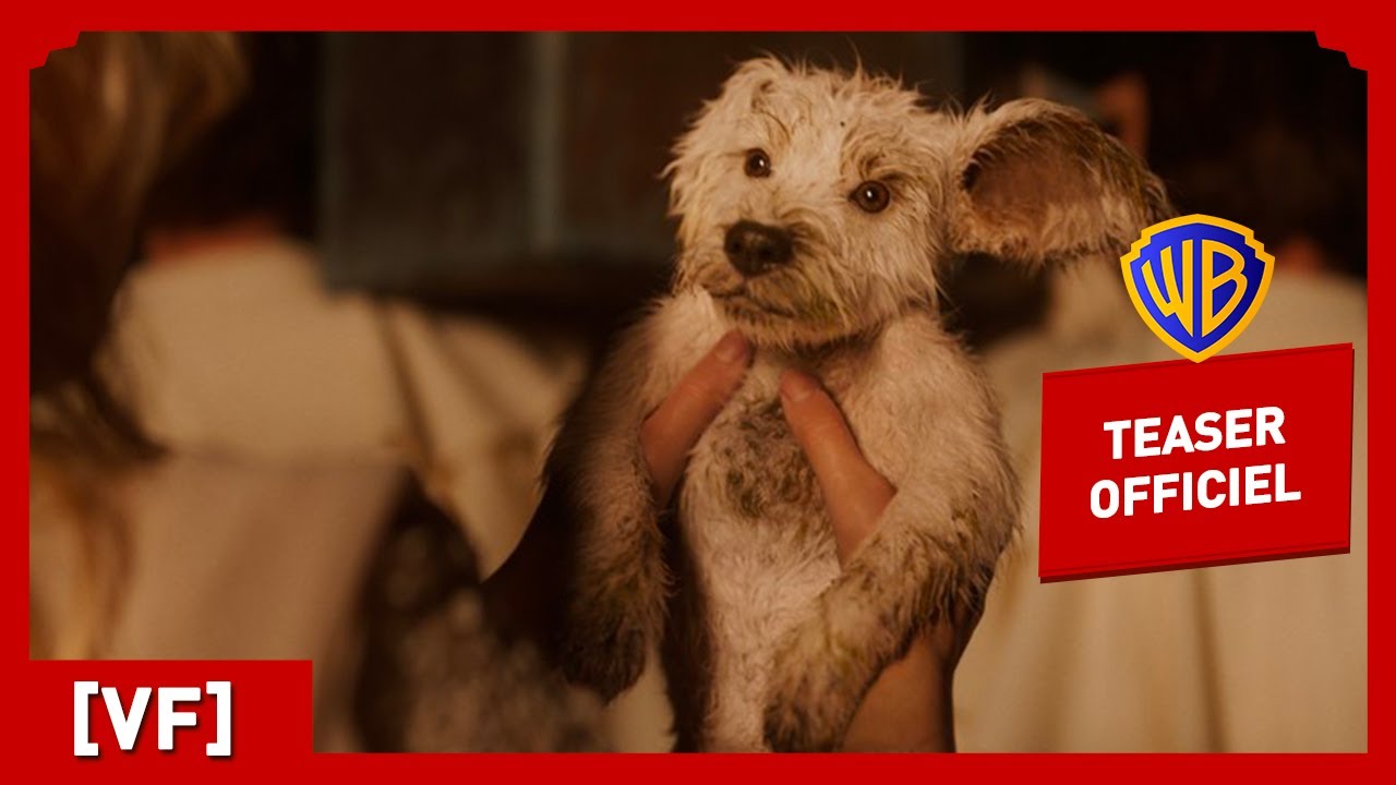 Supergirl | Teaser Krypto (VF) | Milly Alcock, Jason Momoa