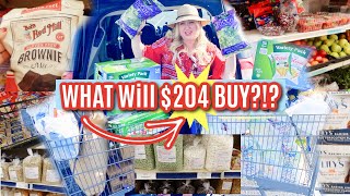 Family of 11 Inflation Grocery Haul