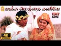 Panju Meththai Kaniyae 4K Video Song Imsai Arasan 23am Pulikesi Vadivelu Sabesh Murali