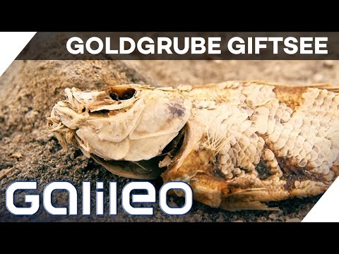 Lost Place: The Hidden Treasures in the Toxic Salton Sea | Galileo | ProSieben
