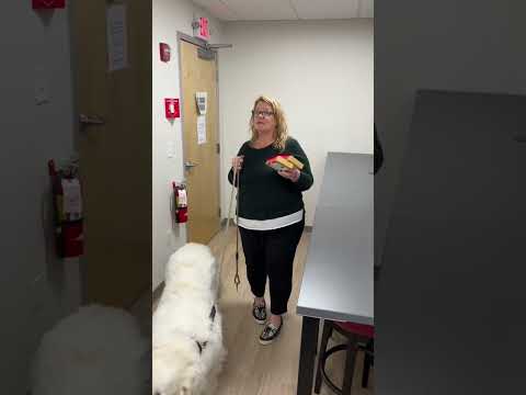 Trivia Tuesday, Part 6! #trivia #tuesday #valentinesday #chocolate #realestate