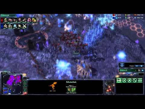 IPL MVP.Dongraegu v Liquid.Hero g5