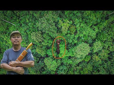 100 Days Alone in the Rainforest \ From Start to Finish