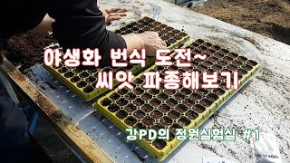 야생화 씨앗 파종해보기 /정원/조경/