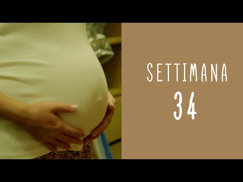 Pregnancy Calendar - Week 34
