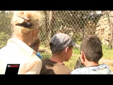 Desiree Nick führt Kinder durch den Berliner Zoo