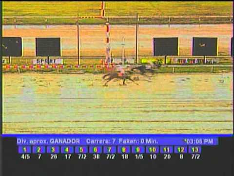 Resumen Sábado, 26 de Febrero de 2011 - La Rinconada