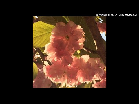 *FREE* LOVV66 x PINQ x ПЛАТИНА x HYPERPOP Type Beat 2021 | prod. El Chappa