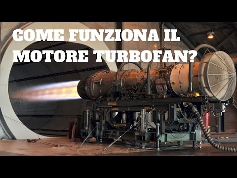 Cosa mangiare per aumentare la potenza Come ortiche utile della potenza sessuale