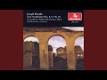 Symphony No. 13 in D Major, Hob.I:13: IV. Finale: Allegro molto