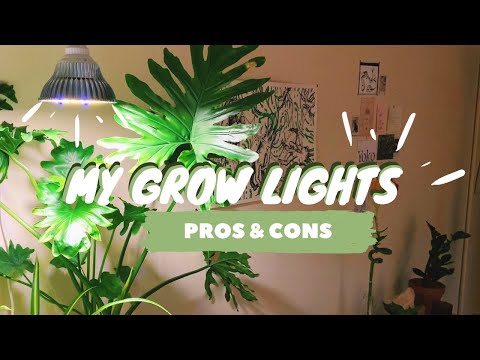 , title : 'MY GROW LIGHT SETUP | grow lights for houseplants | pros & cons