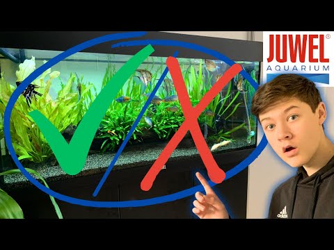 The JUWEL Rio 180 2 YEAR Review // Should you buy it?