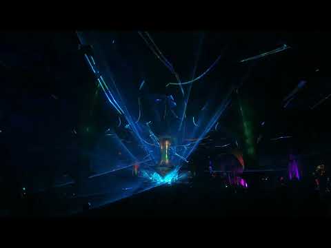 VooV Experience 2023 - Z-Cat (full Set)