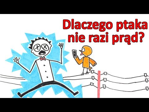 Dlaczego ptaków, siedzących na przewodach elektrycznych, nie razi prąd?