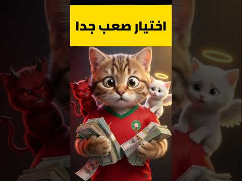 #shorts  #قطقوط #قطط #cat #cats اختيار صعب عند قطقوط واش الشر او الخير