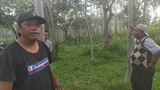 Download lagu VLOG WOKO CHANNEL PROSES SOTING mp3