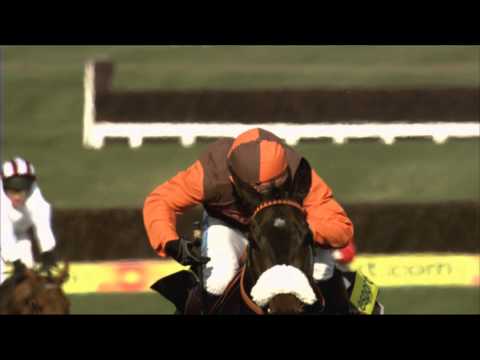 Betfred Cheltenham Gold Cup 2013 - The runners
