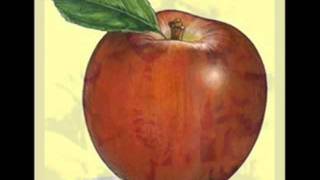 Big Apple Blues - Robert Nighthawk+ John Lee Williamson